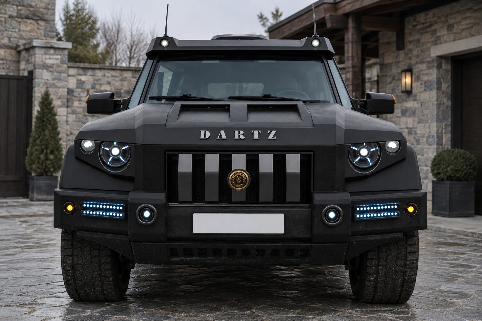 The original DARTZ Prombron’ Black Dragon, head-on